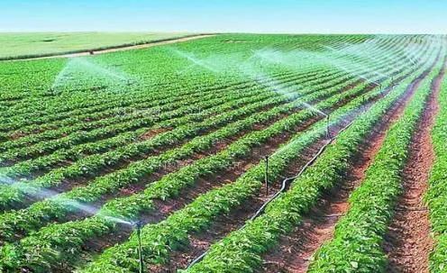 高清看日逼农田高 效节水灌溉